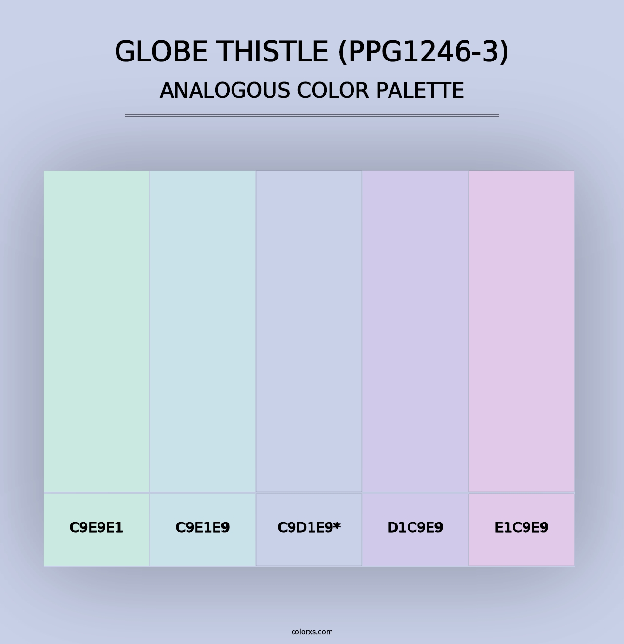 Globe Thistle (PPG1246-3) - Analogous Color Palette