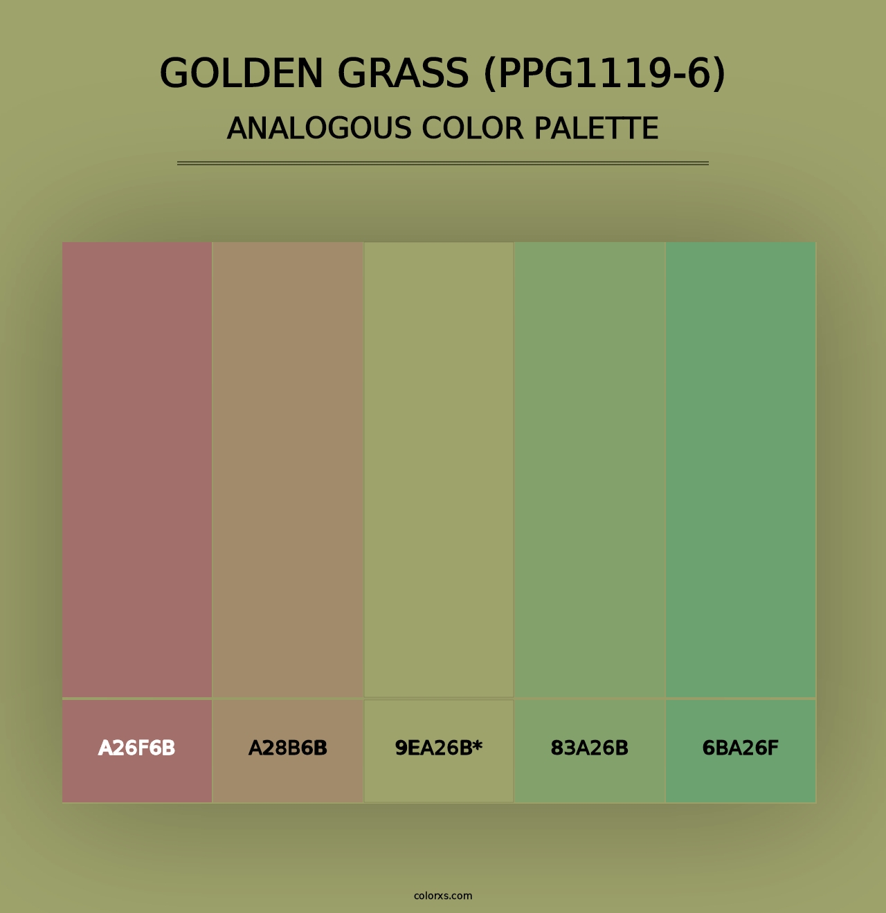 Golden Grass (PPG1119-6) - Analogous Color Palette