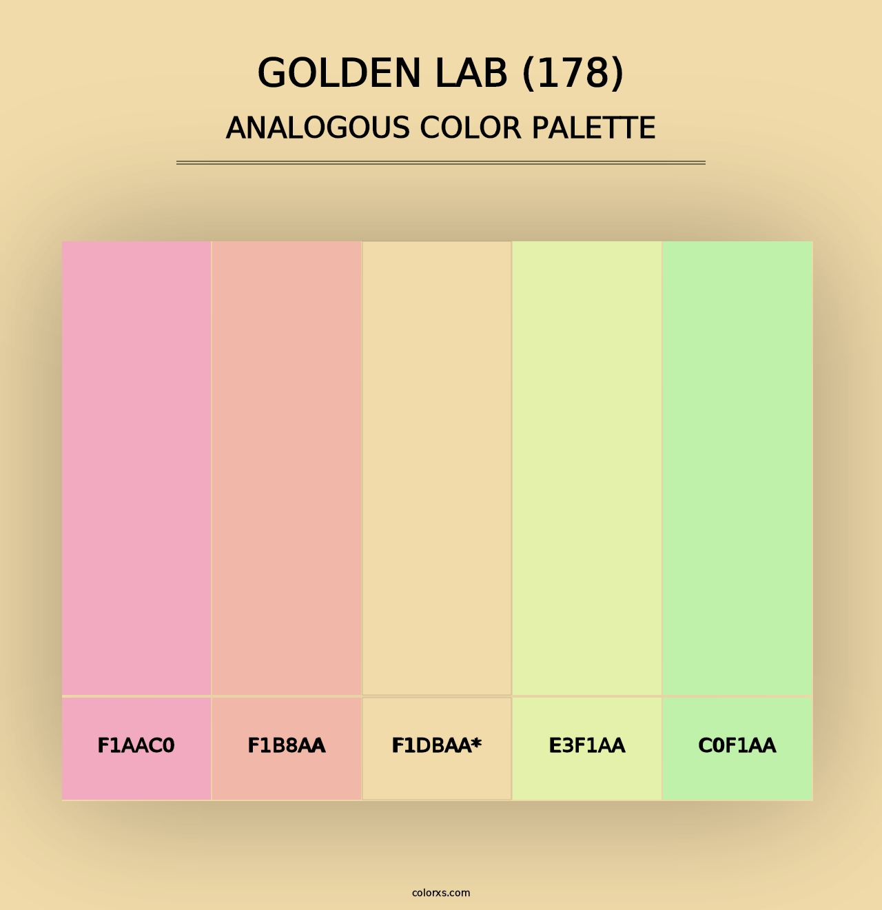 Golden Lab (178) - Analogous Color Palette