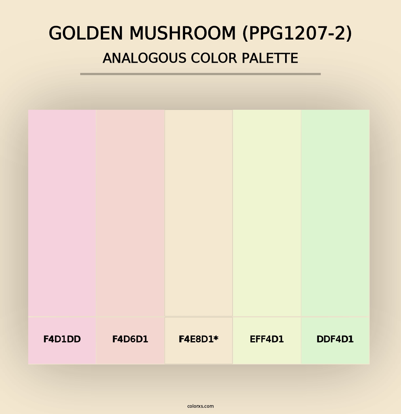 Golden Mushroom (PPG1207-2) - Analogous Color Palette