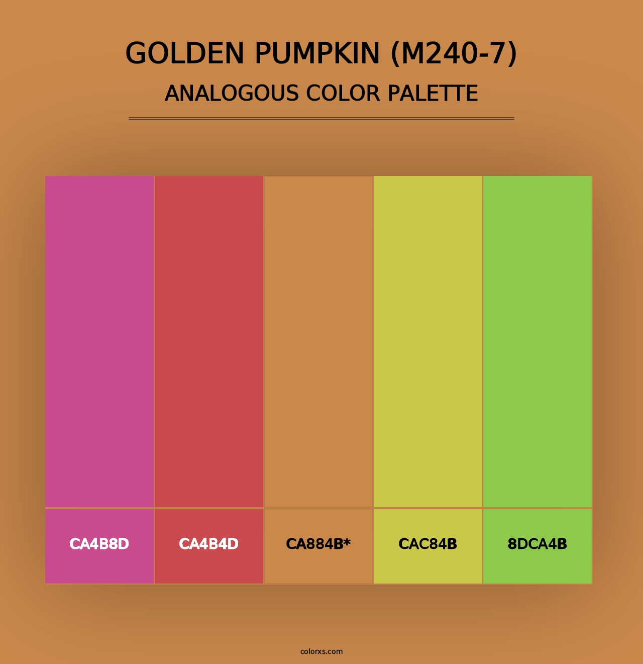 Golden Pumpkin (M240-7) - Analogous Color Palette