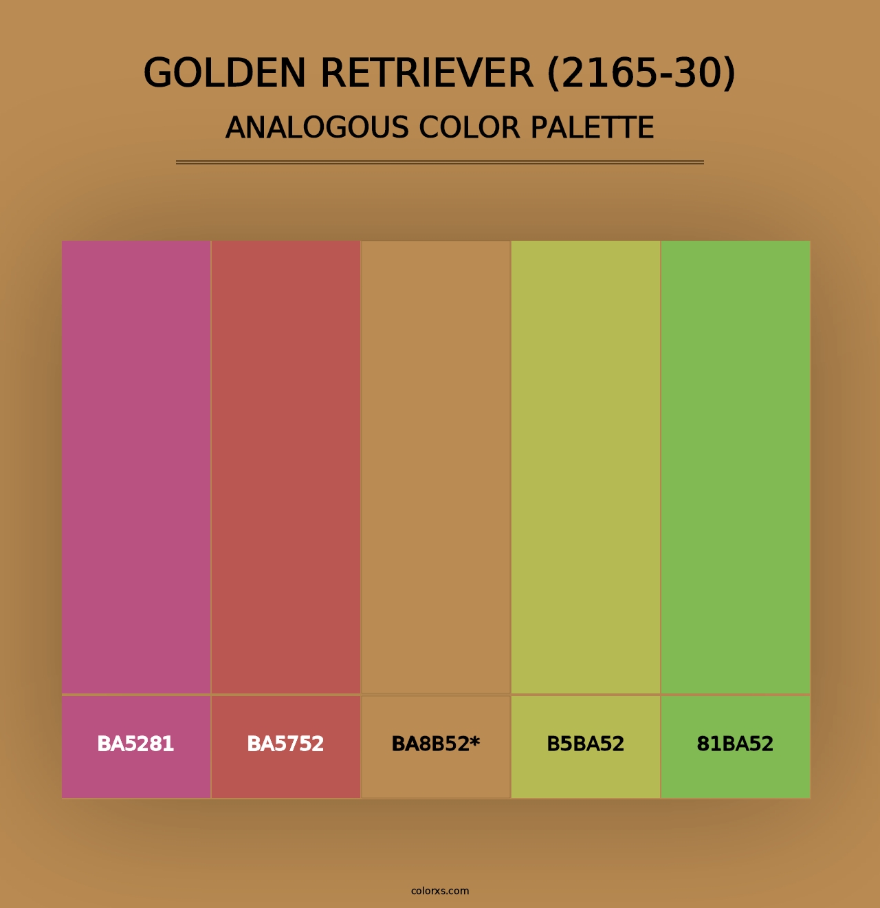 Golden Retriever (2165-30) - Analogous Color Palette