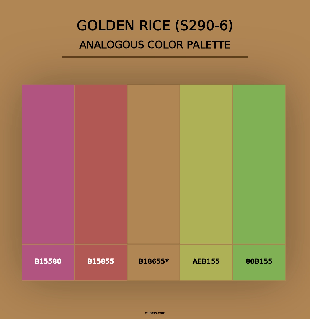 Golden Rice (S290-6) - Analogous Color Palette