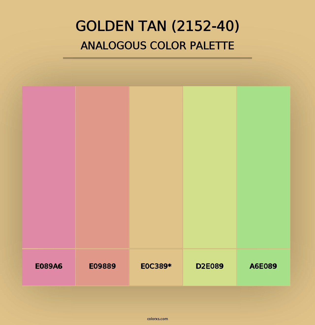 Golden Tan (2152-40) - Analogous Color Palette