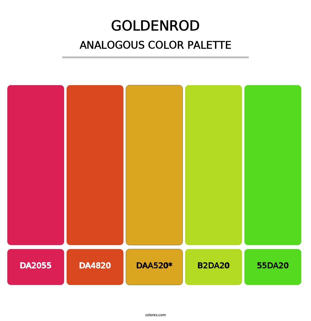 Goldenrod - Analogous Color Palette