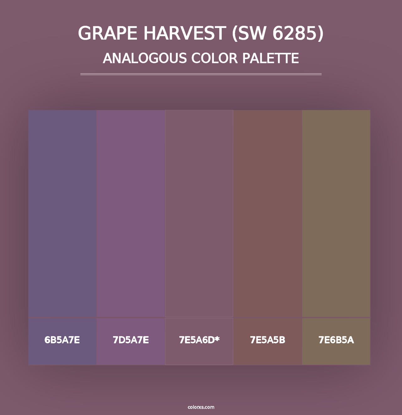 Grape Harvest (SW 6285) - Analogous Color Palette