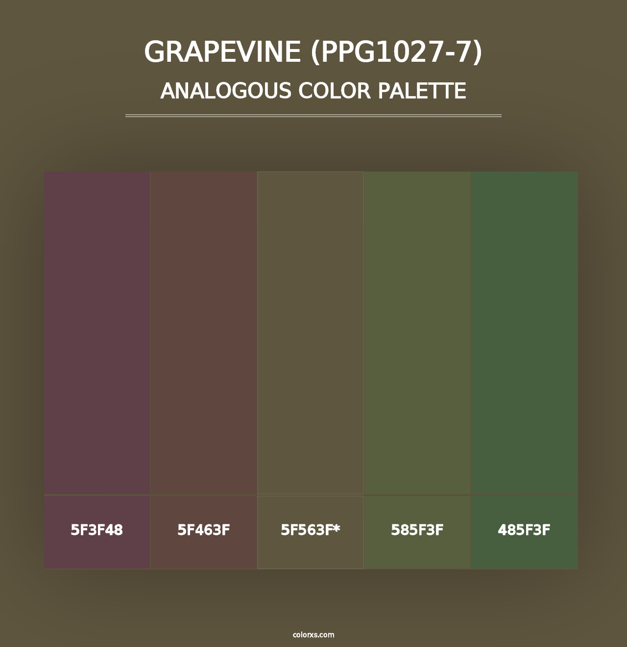 Grapevine (PPG1027-7) - Analogous Color Palette