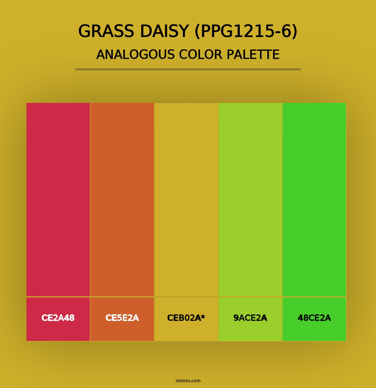 Grass Daisy (PPG1215-6) - Analogous Color Palette