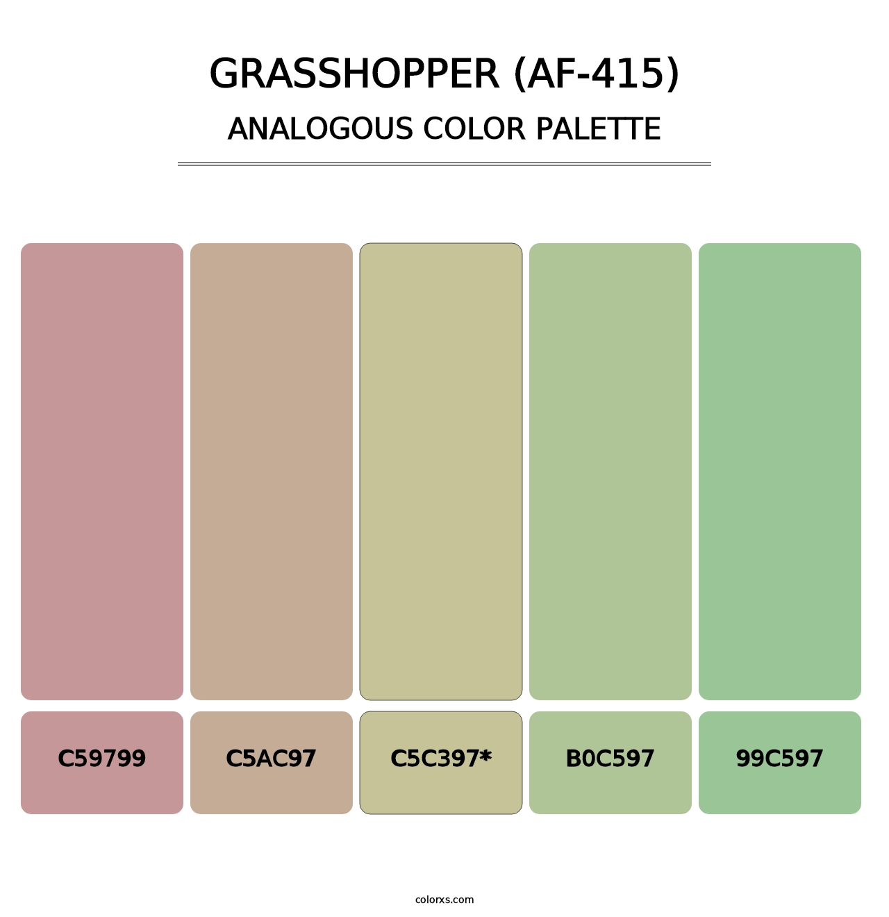 Grasshopper (AF-415) - Analogous Color Palette