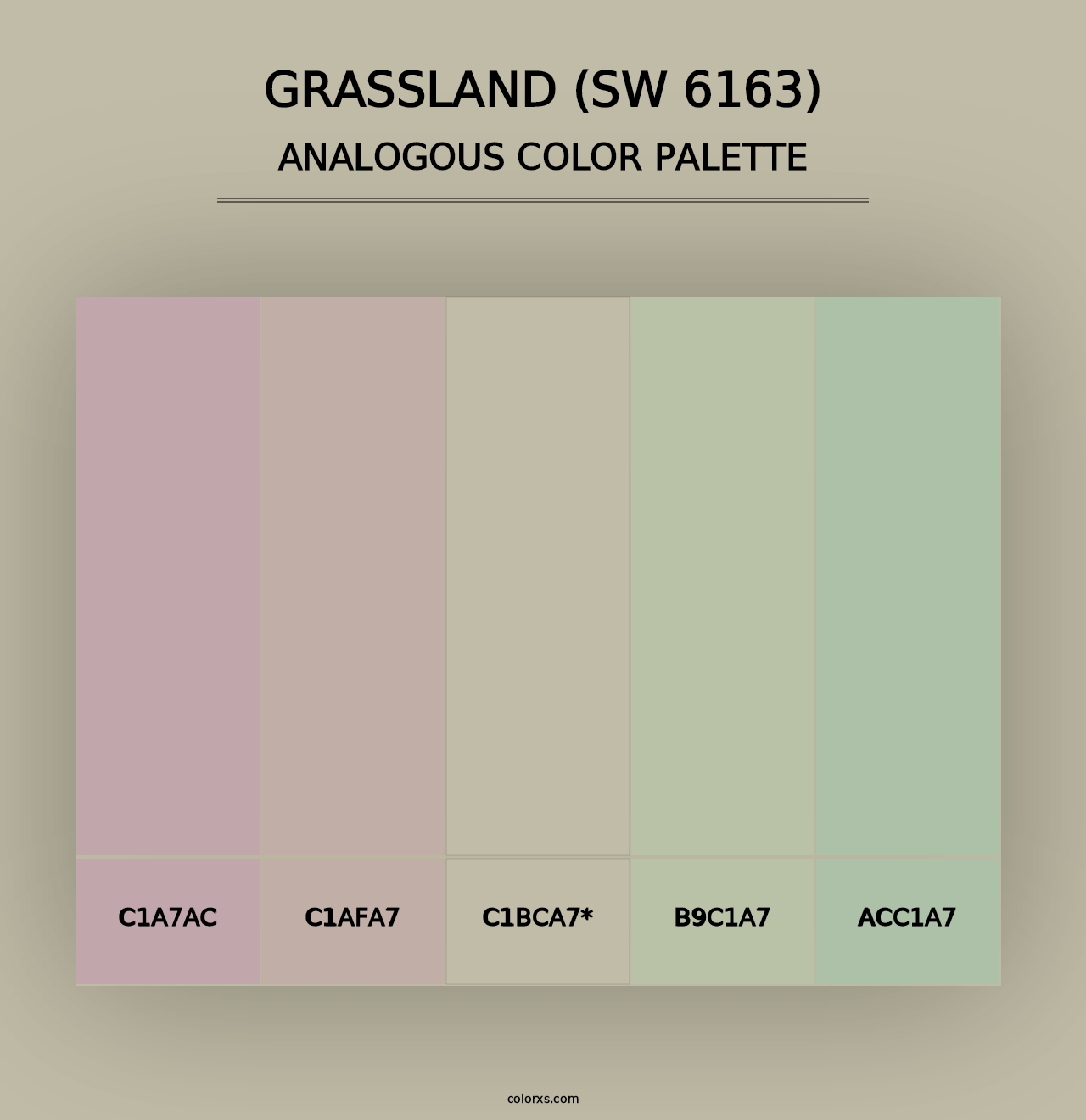 Grassland (SW 6163) - Analogous Color Palette