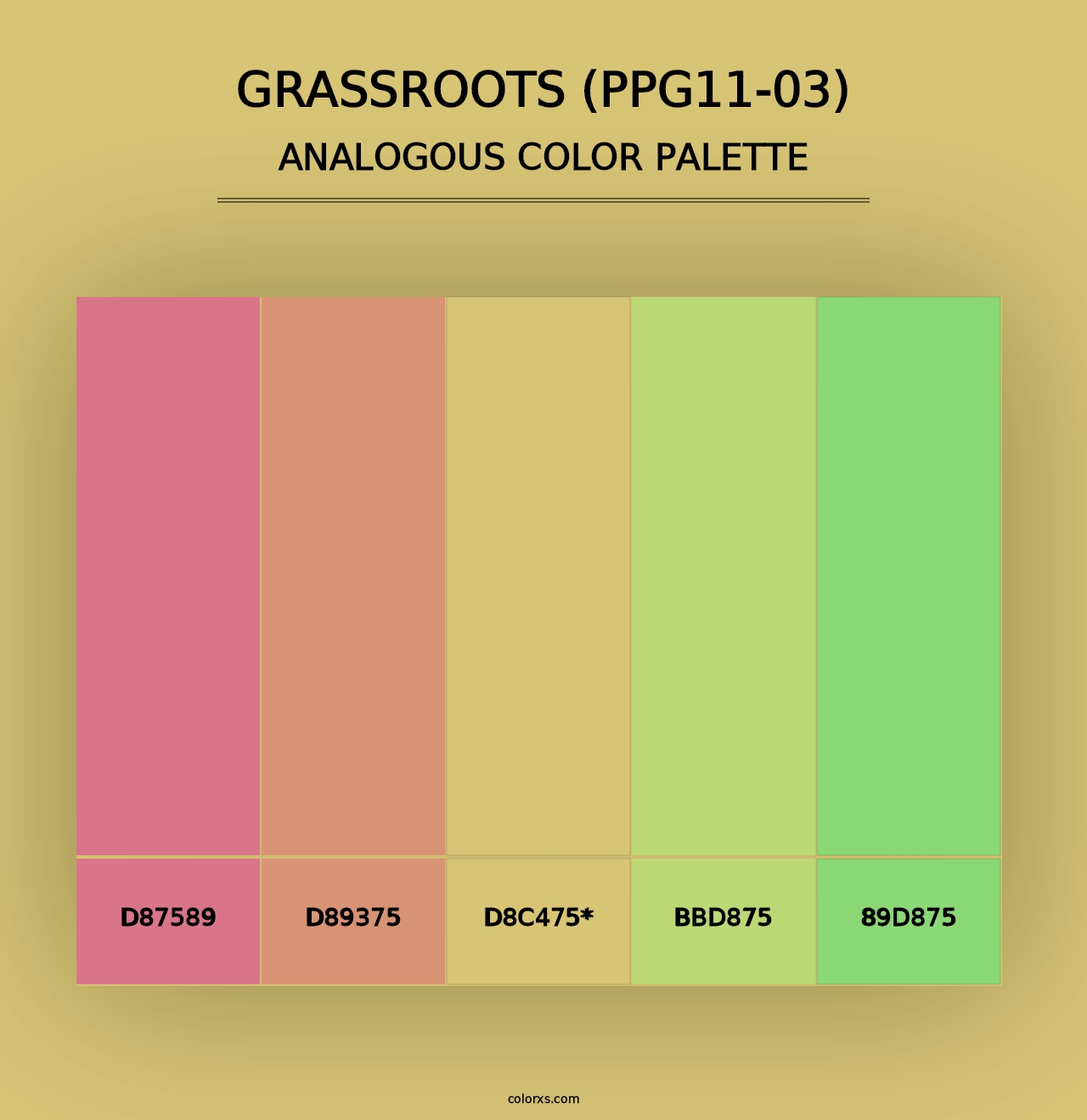 Grassroots (PPG11-03) - Analogous Color Palette