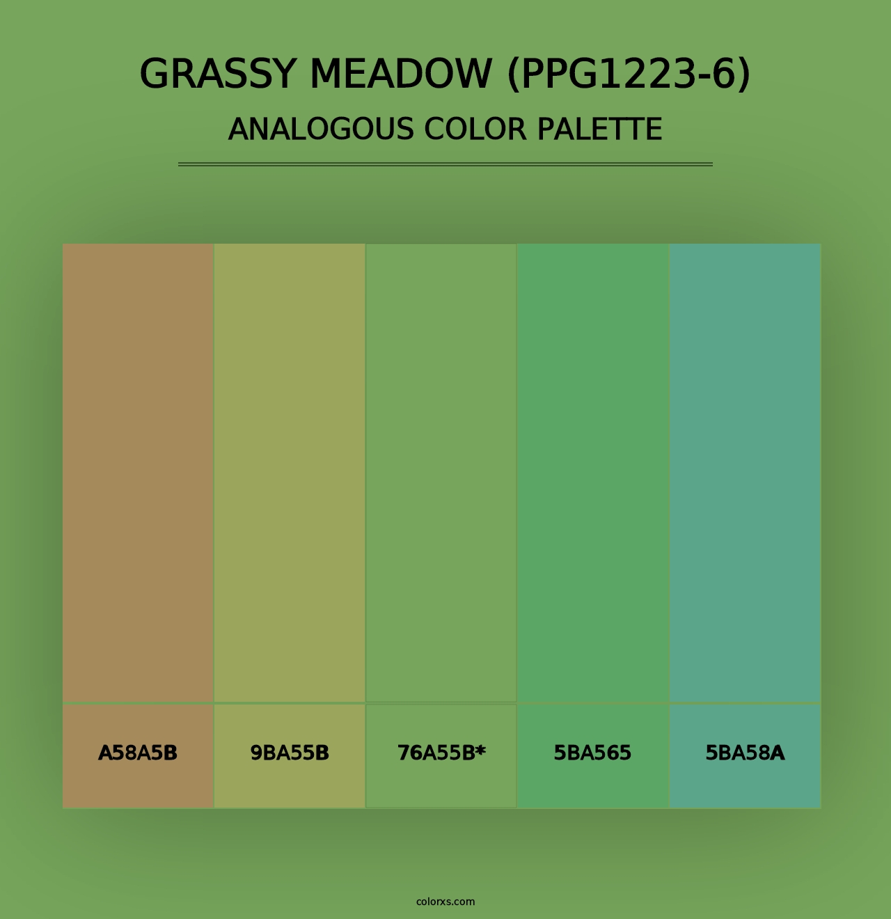 Grassy Meadow (PPG1223-6) - Analogous Color Palette