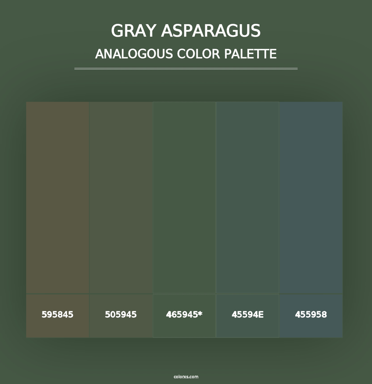 Gray Asparagus - Analogous Color Palette