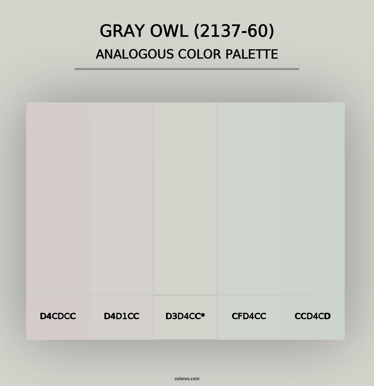 Gray Owl (2137-60) - Analogous Color Palette