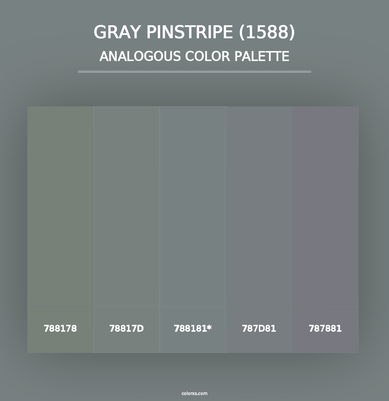 Gray Pinstripe (1588) - Analogous Color Palette