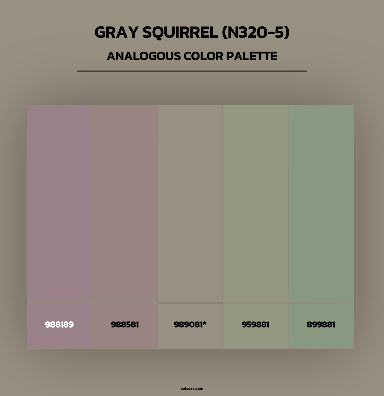 Gray Squirrel (N320-5) - Analogous Color Palette