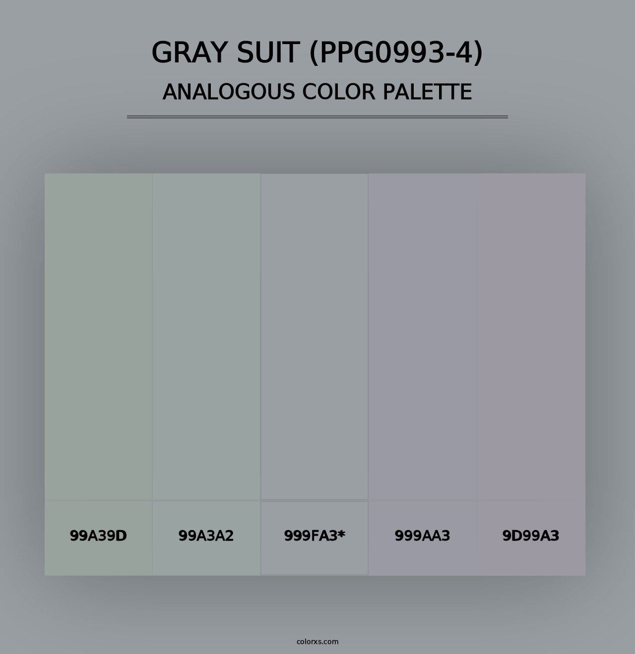 Gray Suit (PPG0993-4) - Analogous Color Palette