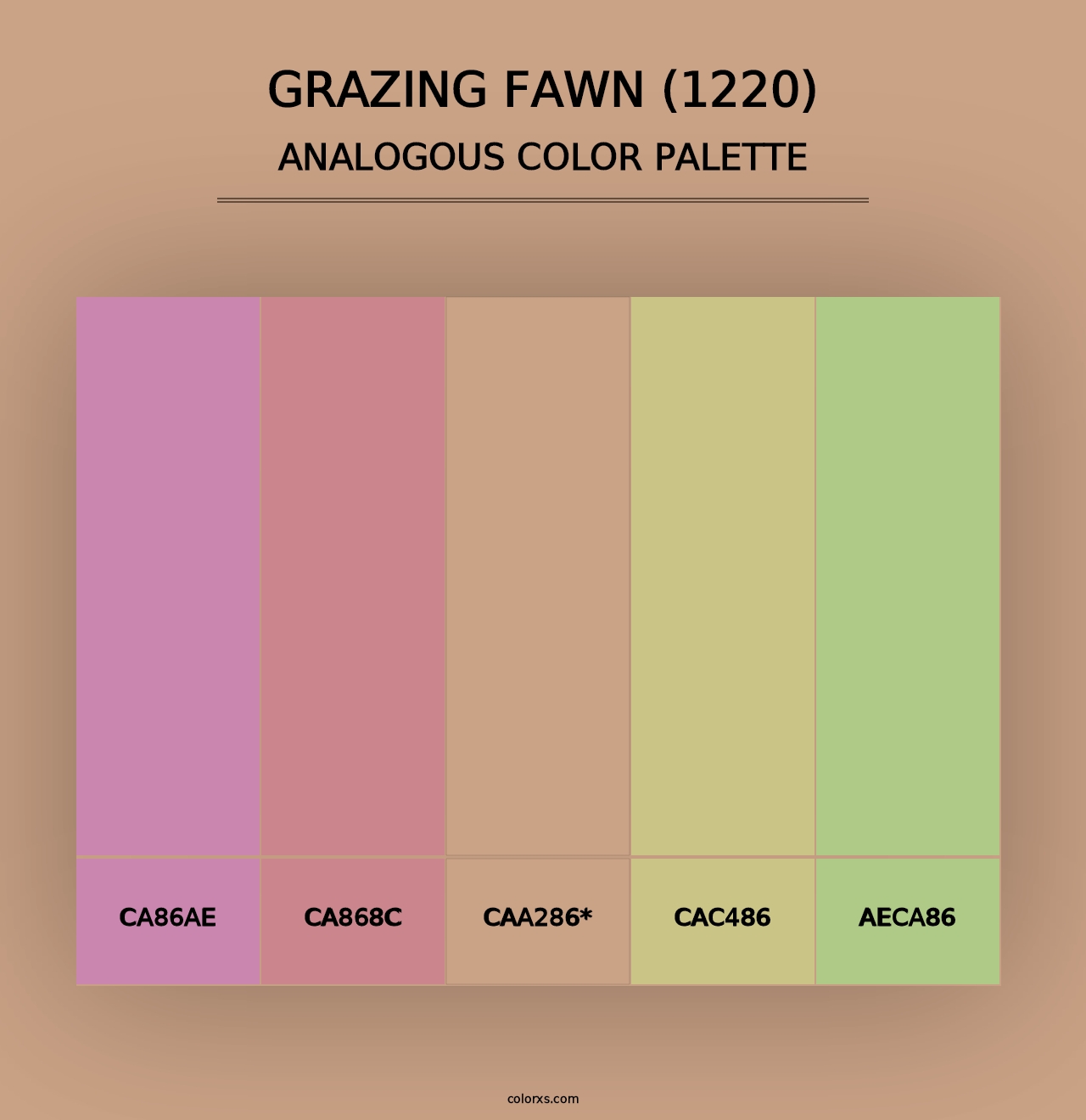 Grazing Fawn (1220) - Analogous Color Palette