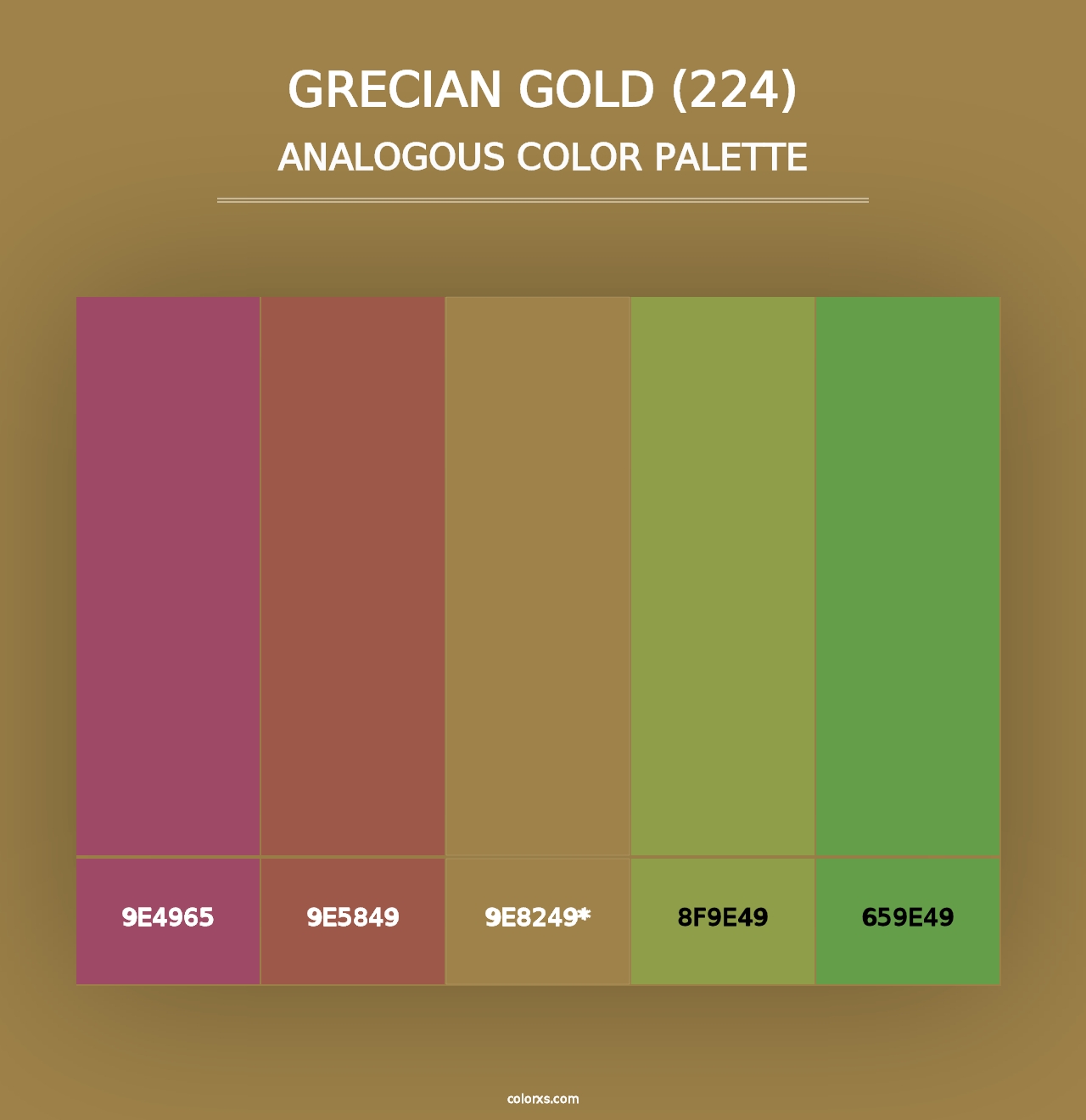 Grecian Gold (224) - Analogous Color Palette