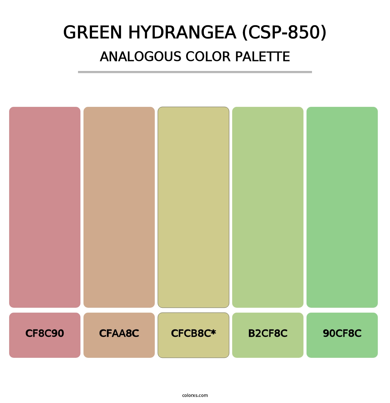 Green Hydrangea (CSP-850) - Analogous Color Palette