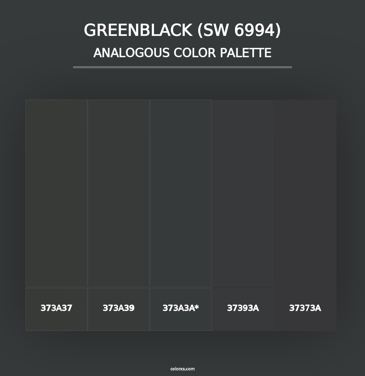 Greenblack (SW 6994) - Analogous Color Palette