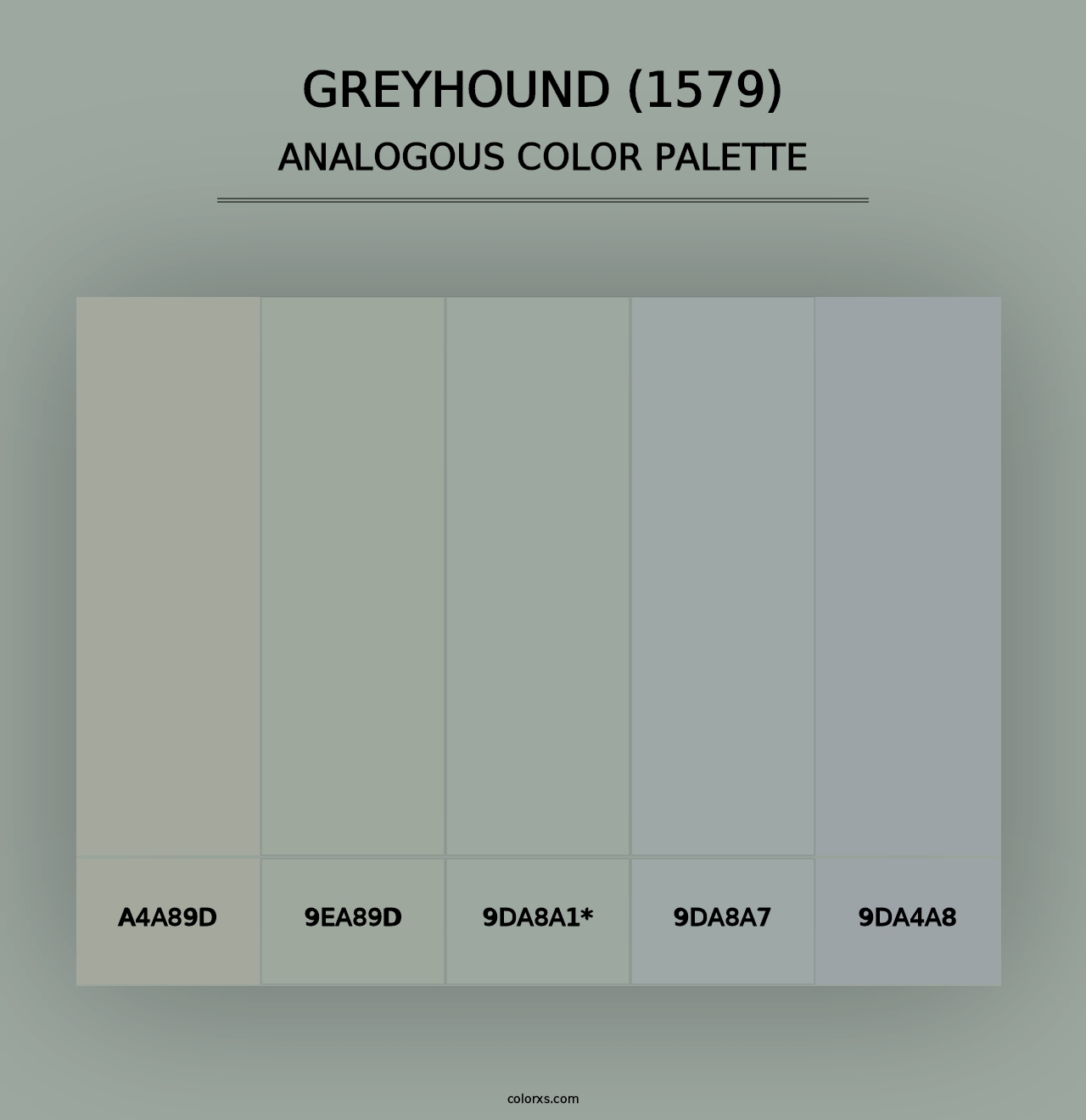 Greyhound (1579) - Analogous Color Palette