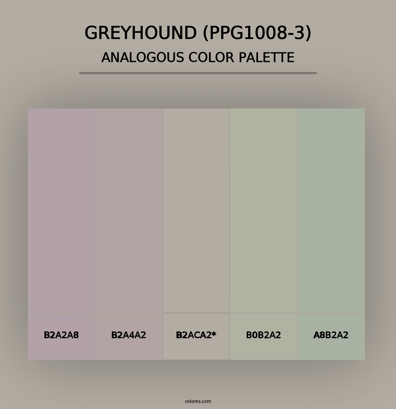 Greyhound (PPG1008-3) - Analogous Color Palette