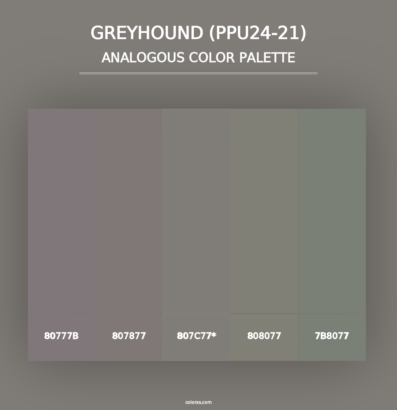 Greyhound (PPU24-21) - Analogous Color Palette