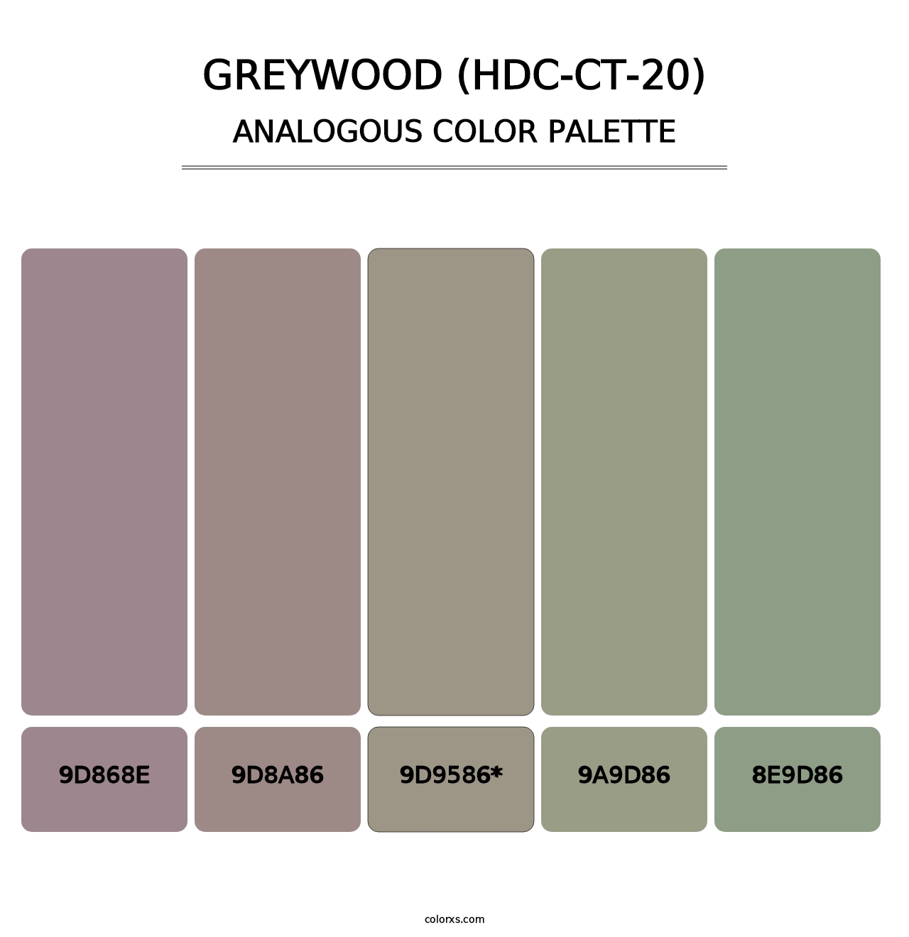 Greywood (HDC-CT-20) - Analogous Color Palette