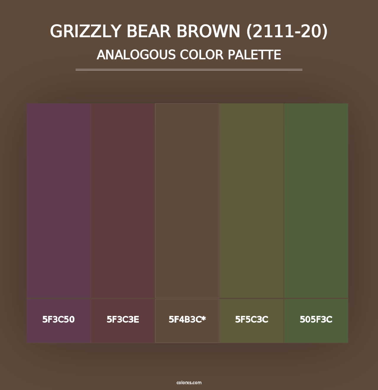 Grizzly Bear Brown (2111-20) - Analogous Color Palette