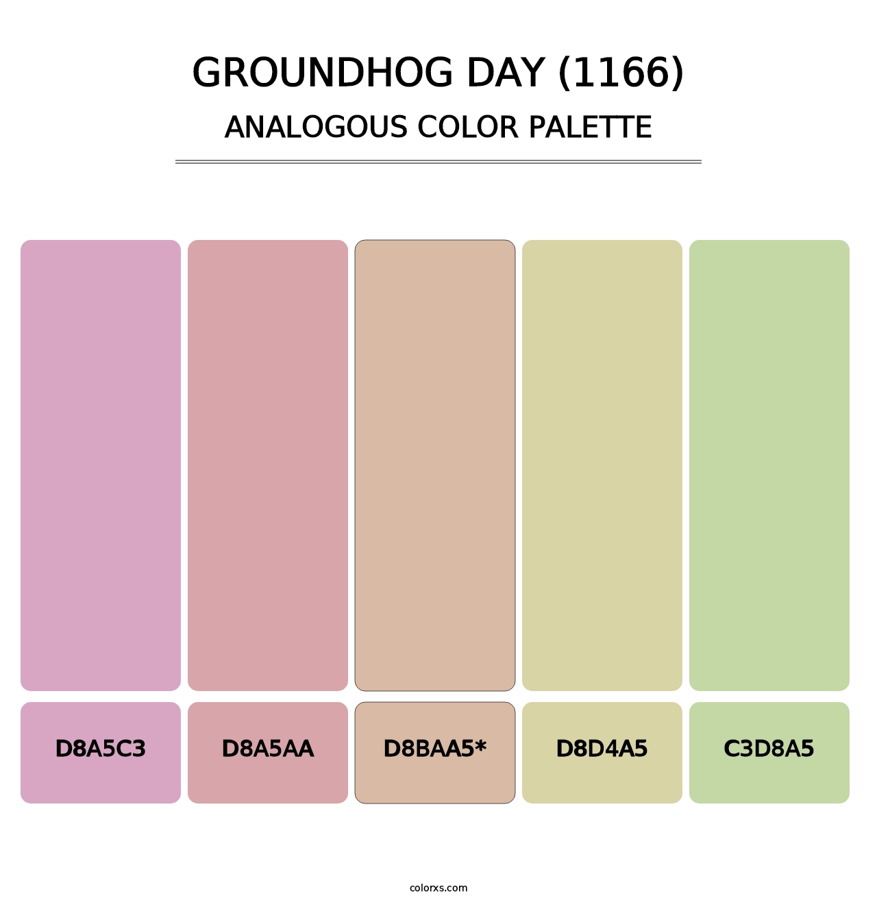 Groundhog Day (1166) - Analogous Color Palette