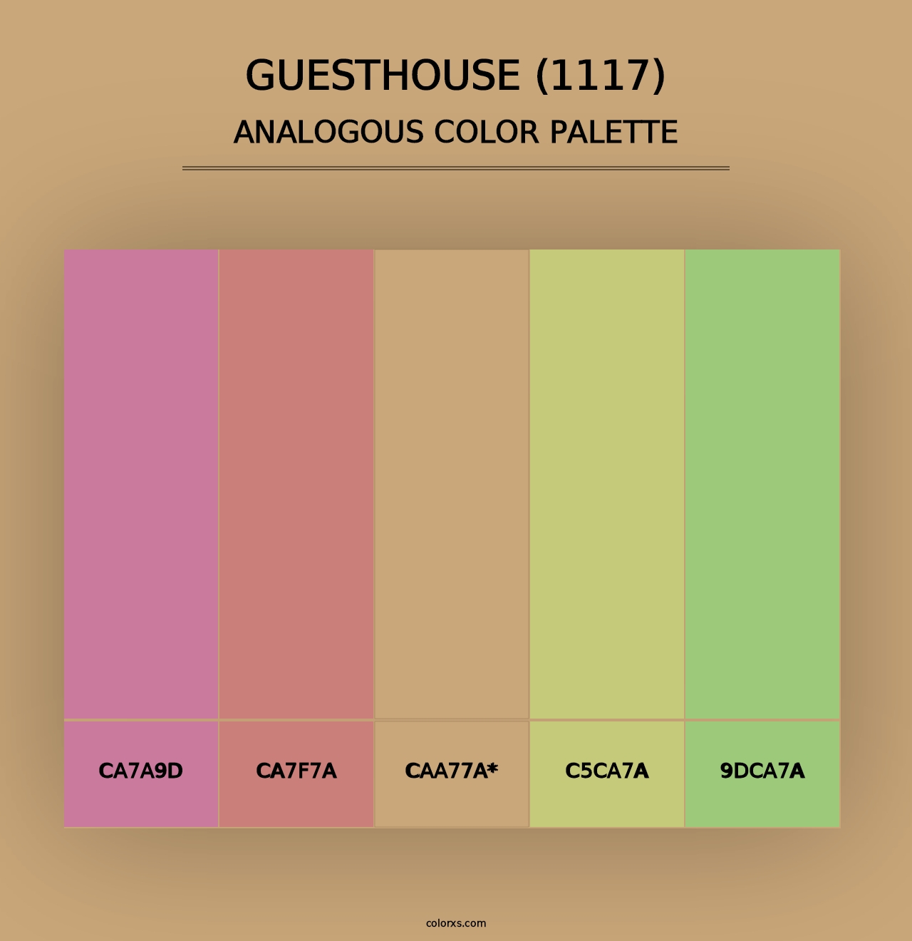 Guesthouse (1117) - Analogous Color Palette