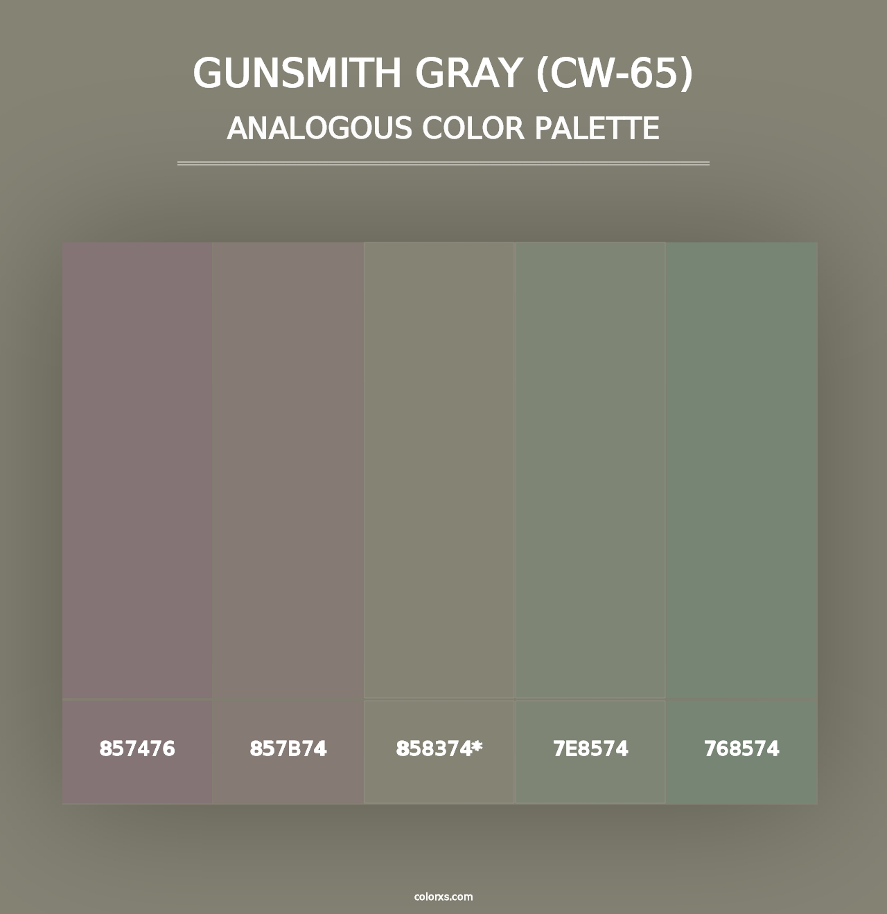 Gunsmith Gray (CW-65) - Analogous Color Palette