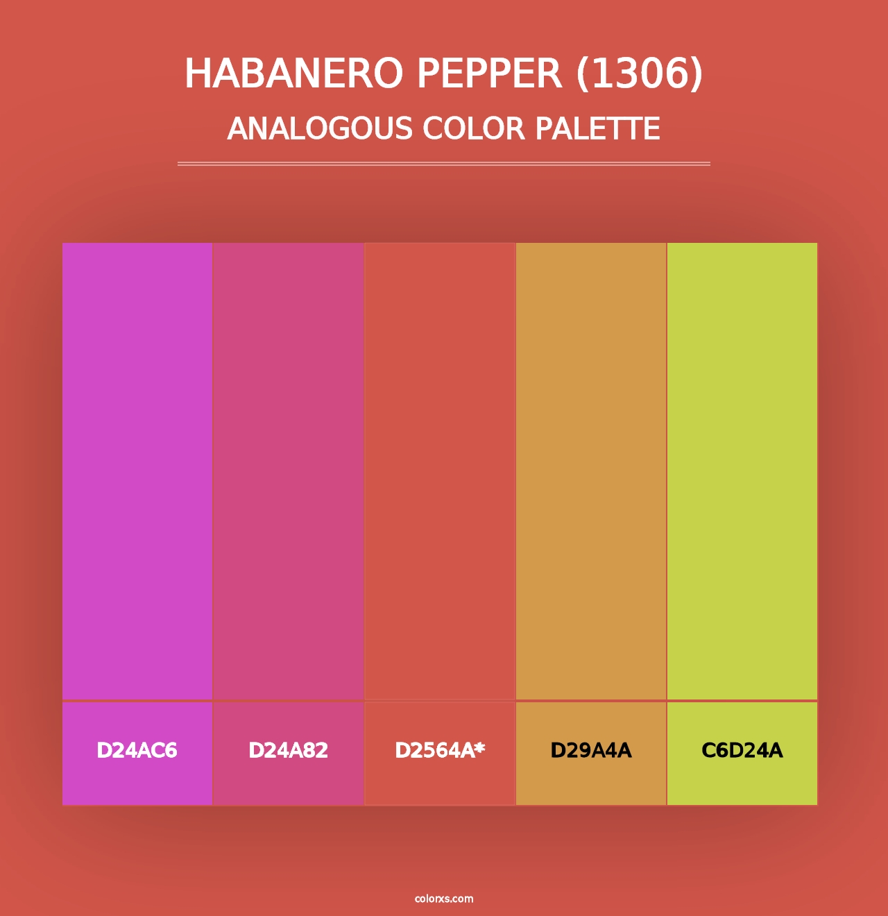 Habanero Pepper (1306) - Analogous Color Palette