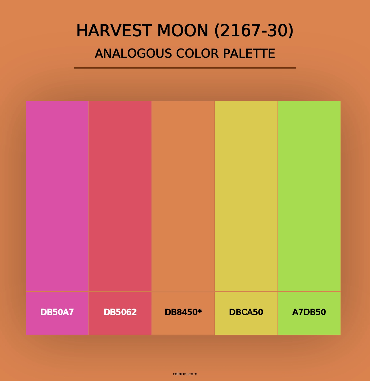 Harvest Moon (2167-30) - Analogous Color Palette