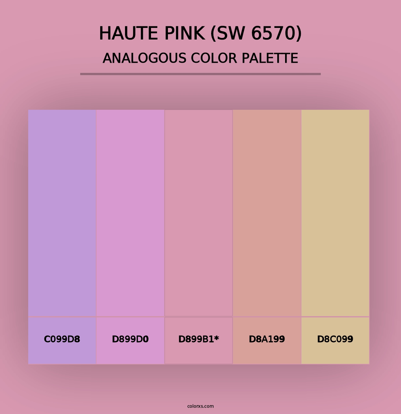 Haute Pink (SW 6570) - Analogous Color Palette