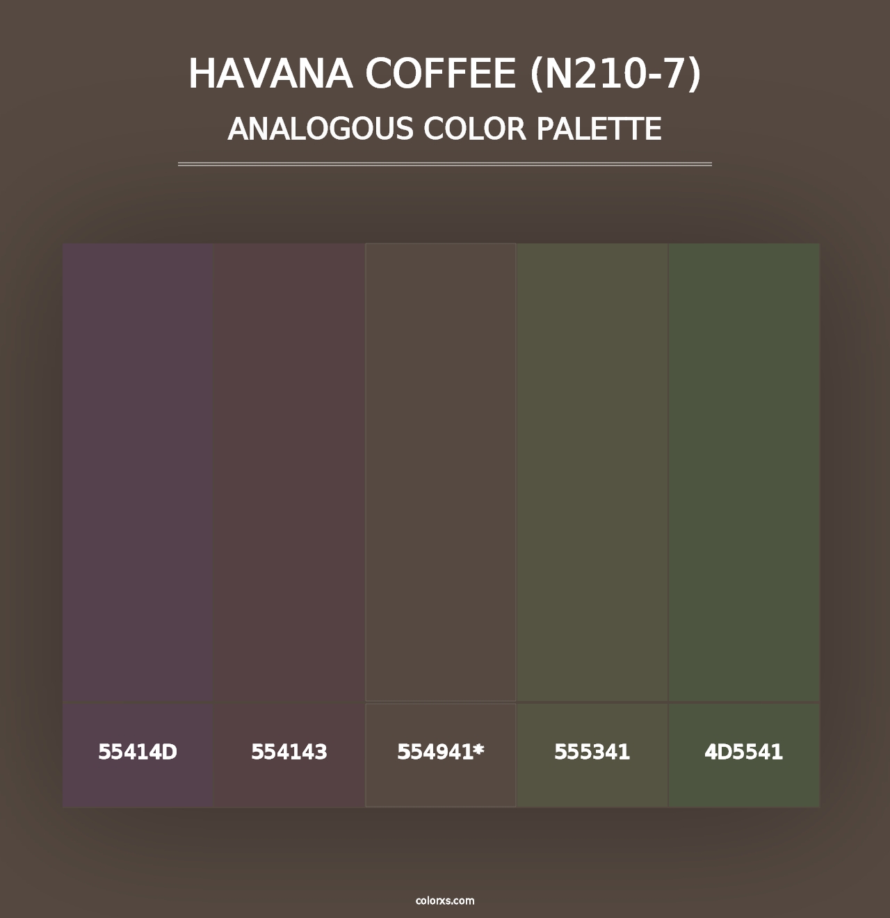 Havana Coffee (N210-7) - Analogous Color Palette