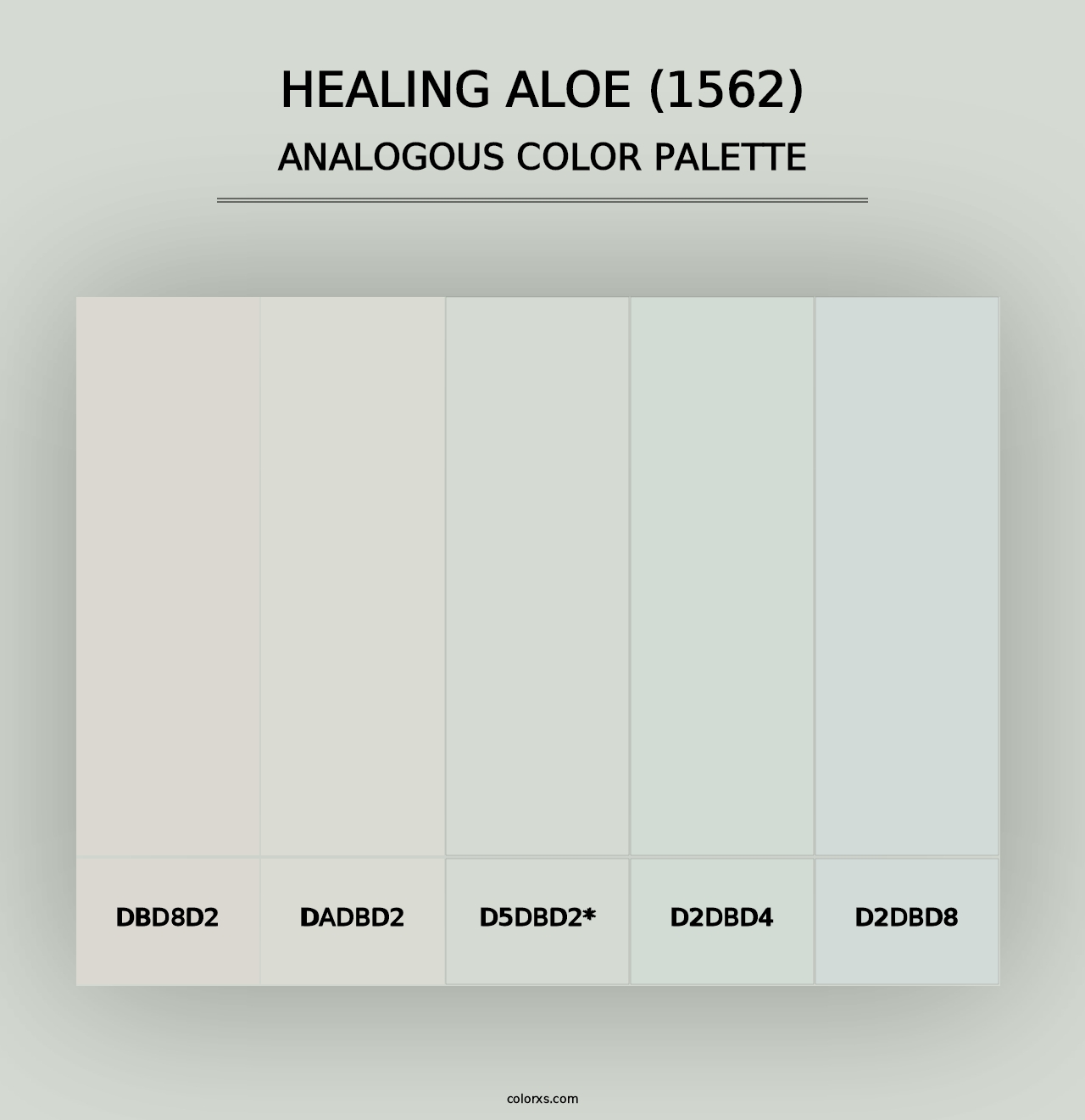 Healing Aloe (1562) - Analogous Color Palette