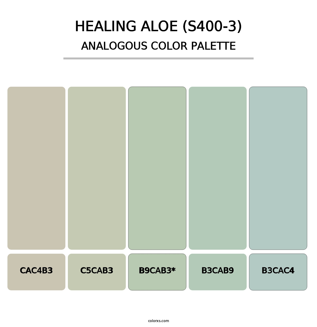 Healing Aloe (S400-3) - Analogous Color Palette