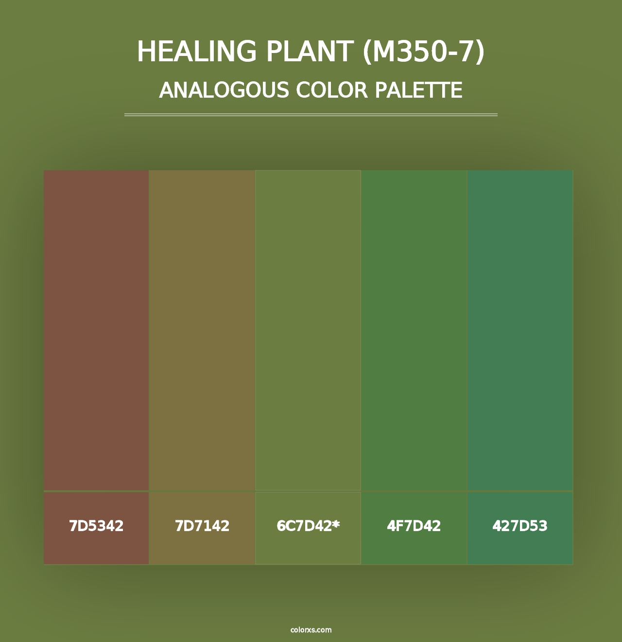 Healing Plant (M350-7) - Analogous Color Palette