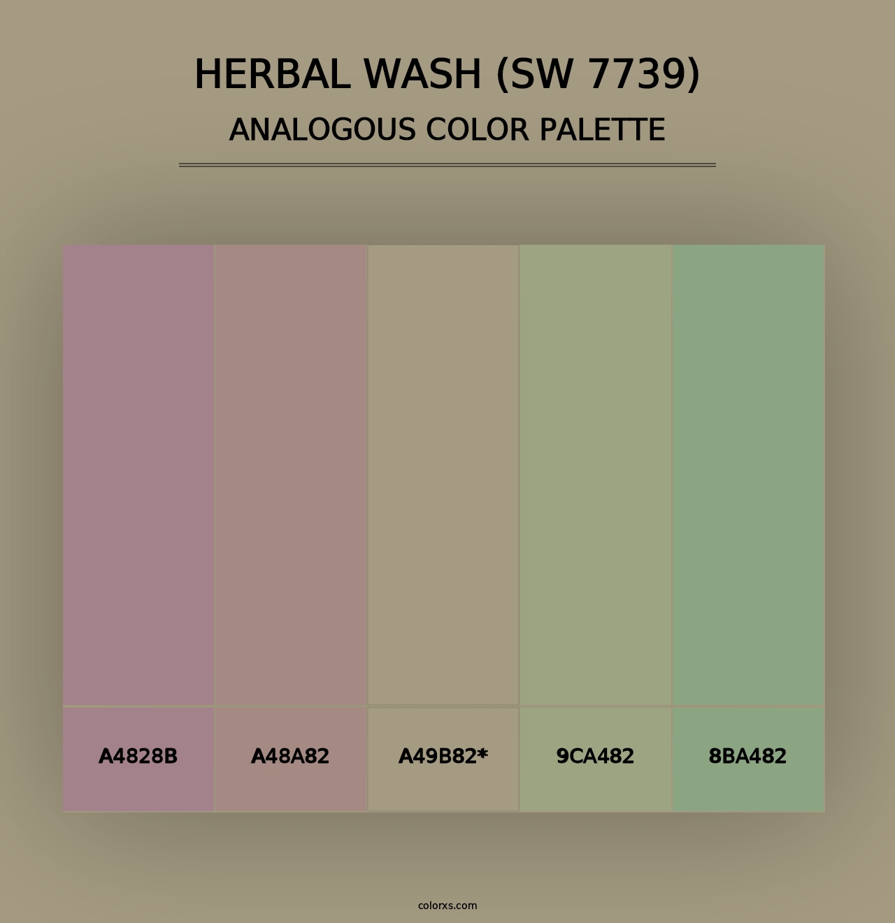 Herbal Wash (SW 7739) - Analogous Color Palette