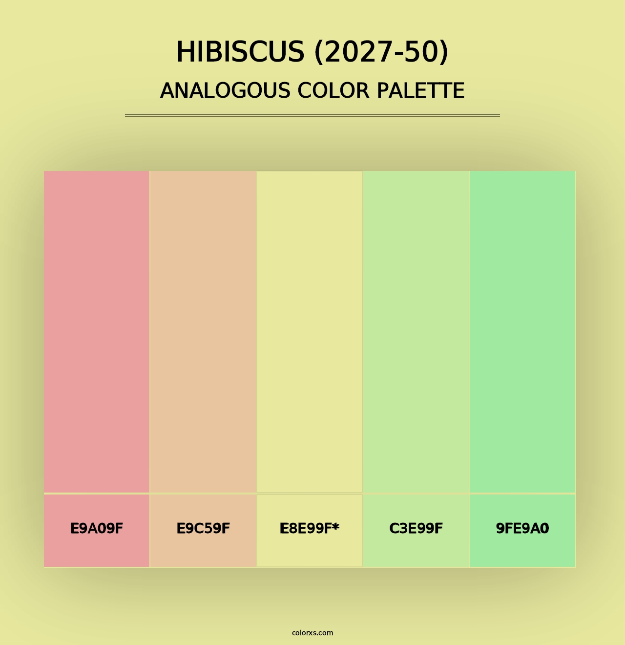 Hibiscus (2027-50) - Analogous Color Palette