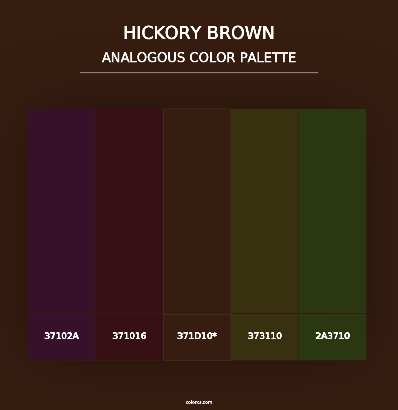 Hickory Brown - Analogous Color Palette