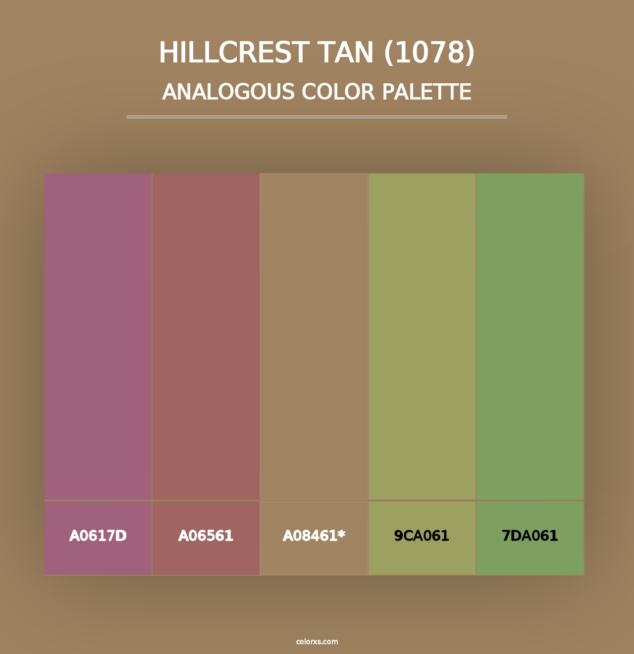 Hillcrest Tan (1078) - Analogous Color Palette