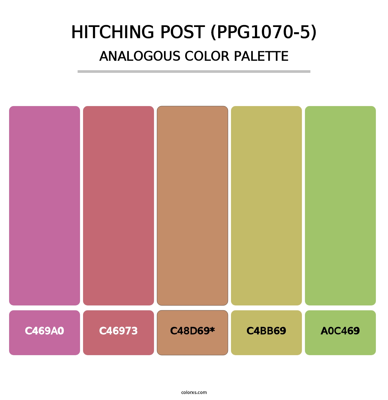 Hitching Post (PPG1070-5) - Analogous Color Palette