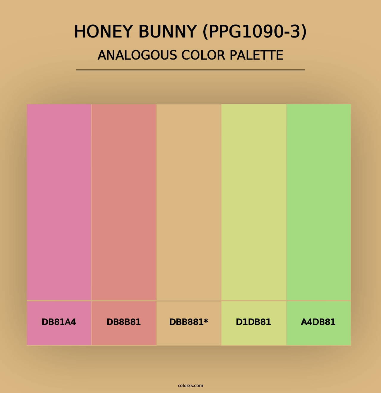 Honey Bunny (PPG1090-3) - Analogous Color Palette