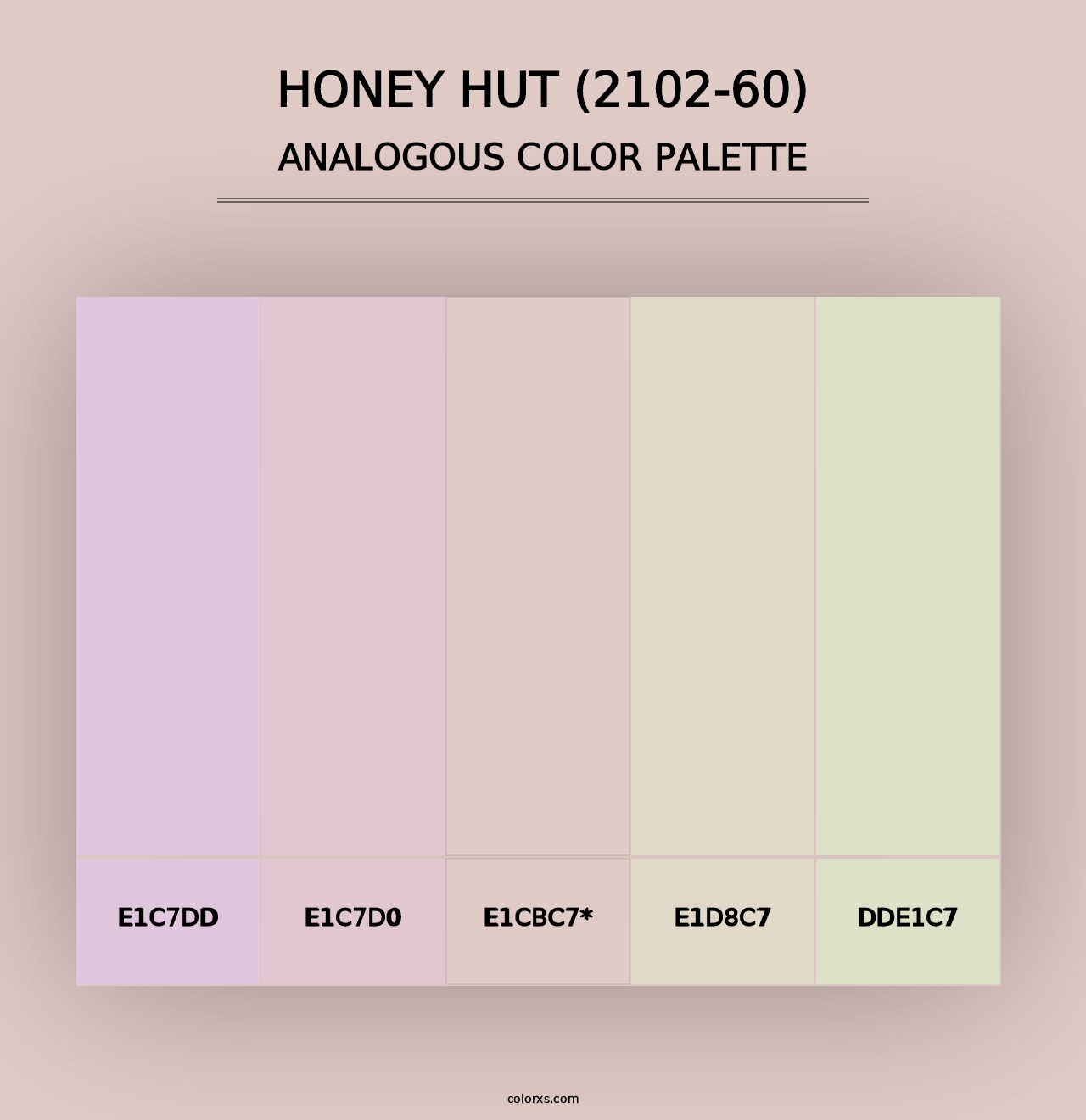 Honey Hut (2102-60) - Analogous Color Palette