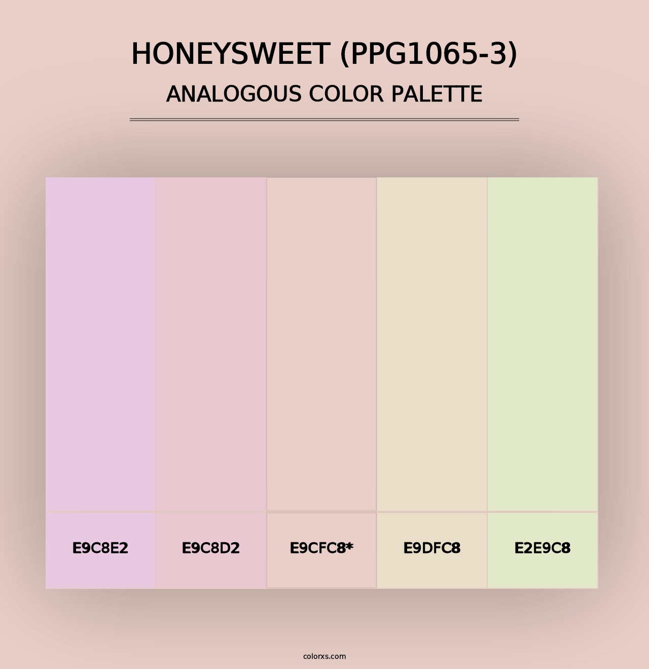 Honeysweet (PPG1065-3) - Analogous Color Palette