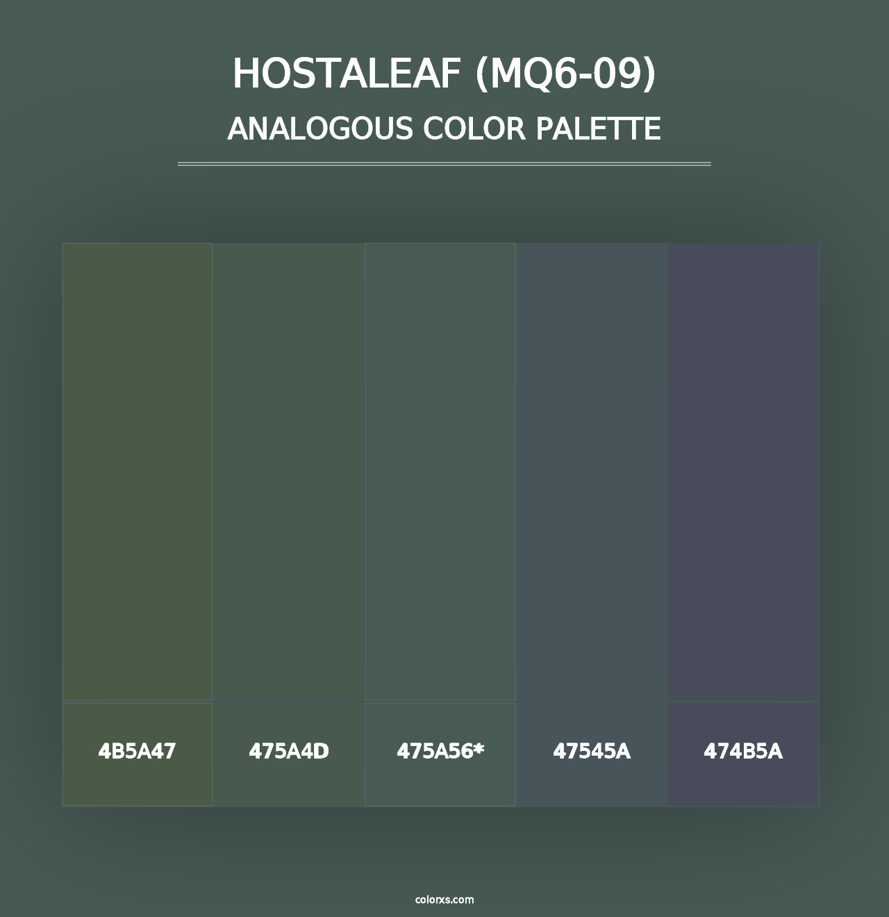 Hostaleaf (MQ6-09) - Analogous Color Palette