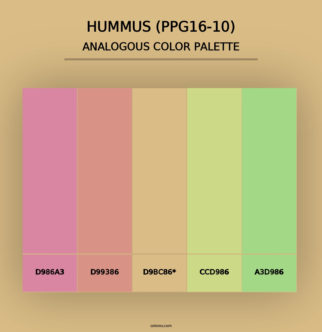 Hummus (PPG16-10) - Analogous Color Palette